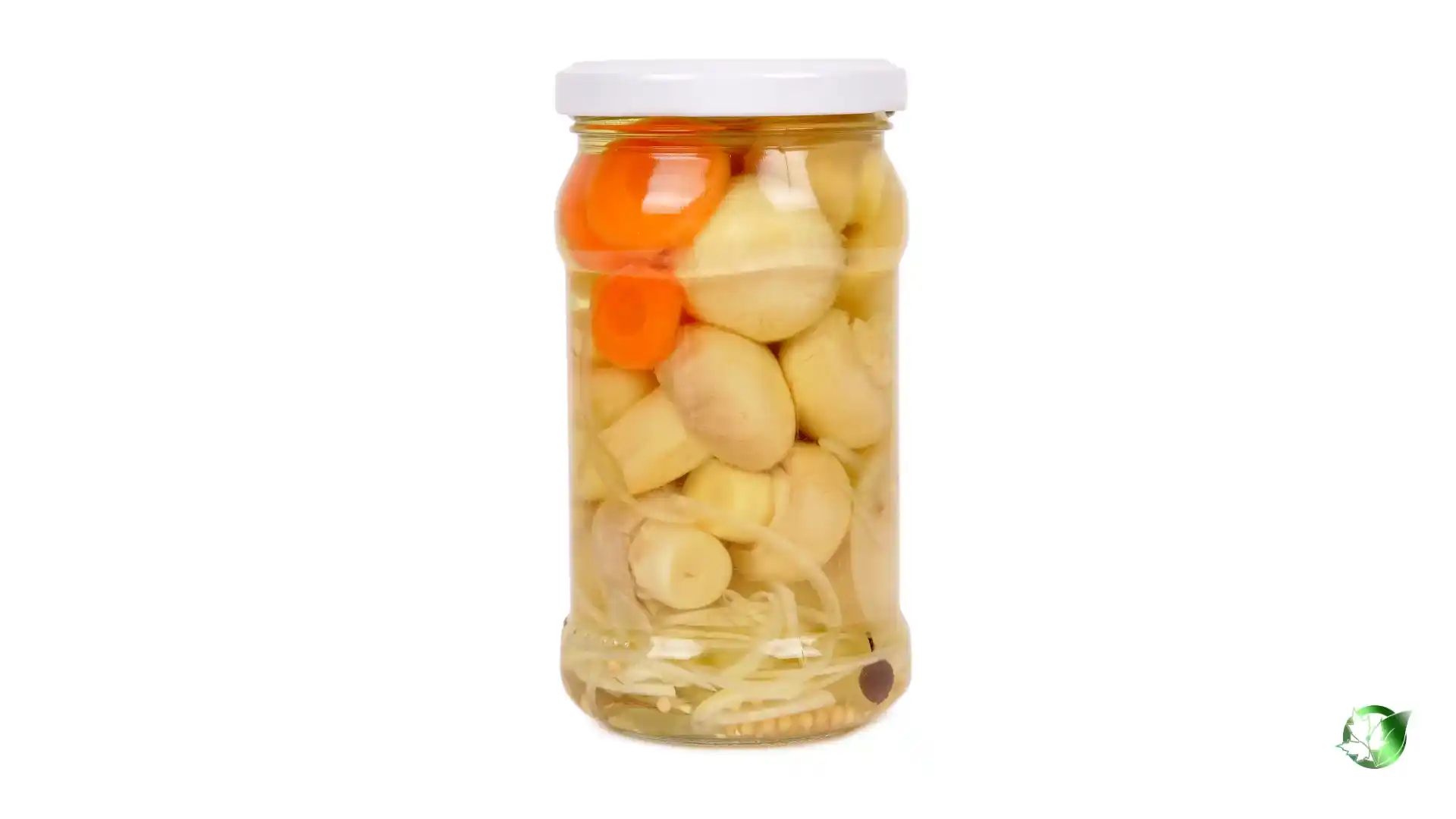 Bulk Canned Mushrooms | Suppliers | Wholesale | ParsaFood Global